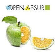 Open assur