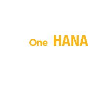 SAP HANA 