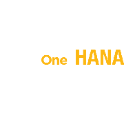 SAP HANA